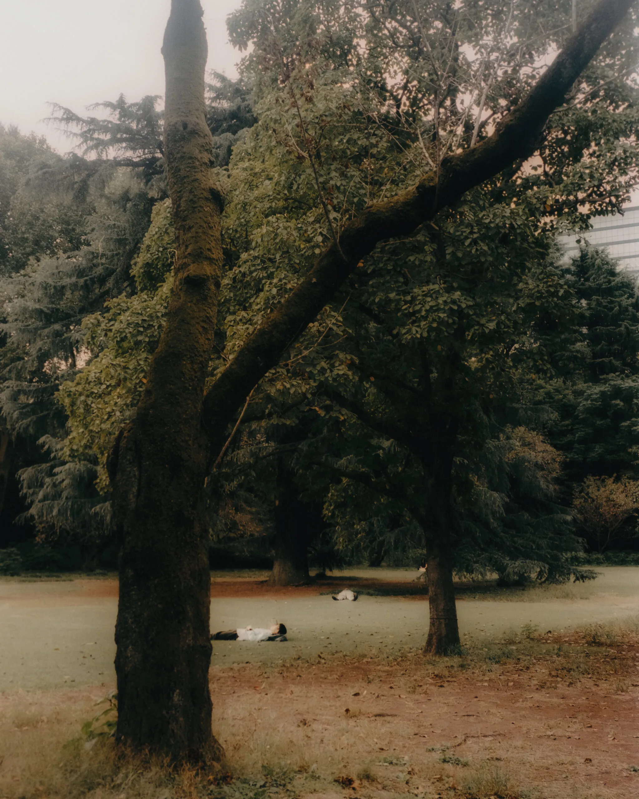 Tokyo on film
